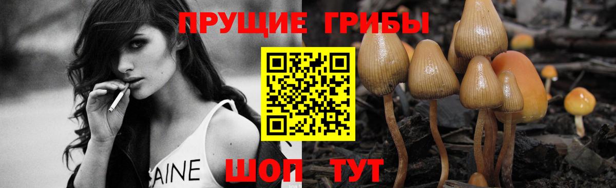 Славянск-на-Кубани  Галлюциногенные грибы мухоморы  Галлюциногенные грибы Magic Shrooms  Вход с VPN 